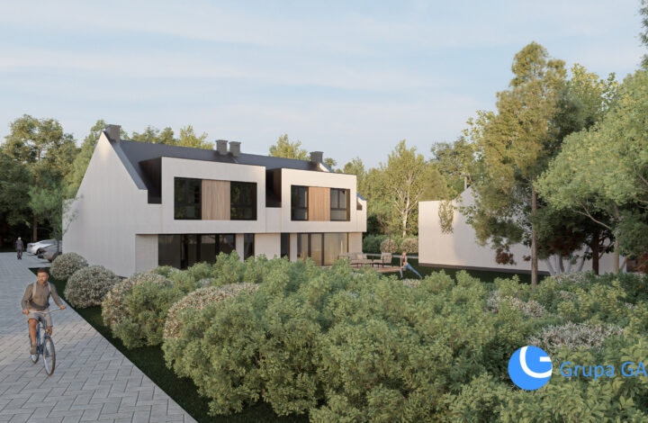 Działka przy Lesie Borkowskim, koncepcja zabudowy.