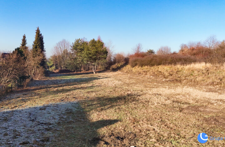 DZIAŁKI | 3X10a | WYDANE WARUNKI ZABUDOWY |