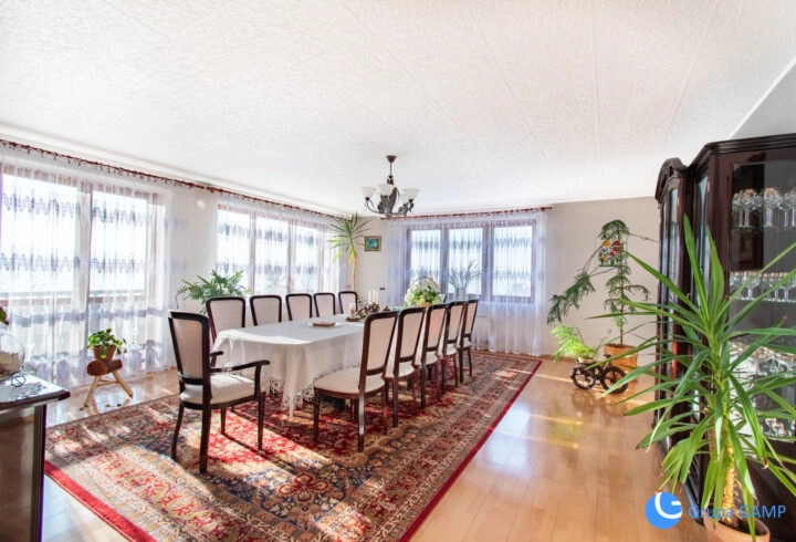 Gaj: Duży dom 400m2, 18 ar, dwa mieszkania