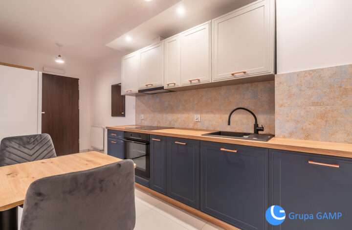 Niezależne 2-pok ICE Kraków *Stare Dębniki*