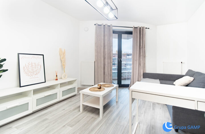 Nowoczesne studio* Wiślane Tarasy 2.0* 6 piętro