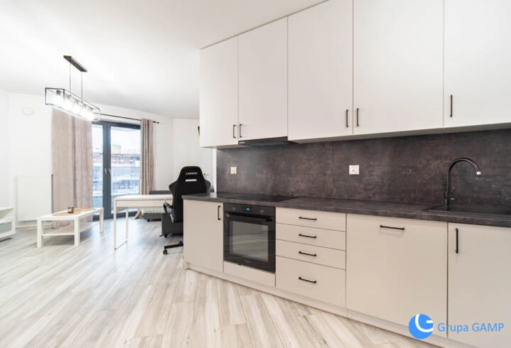 Nowoczesne studio* Wiślane Tarasy 2.0* 6 piętro