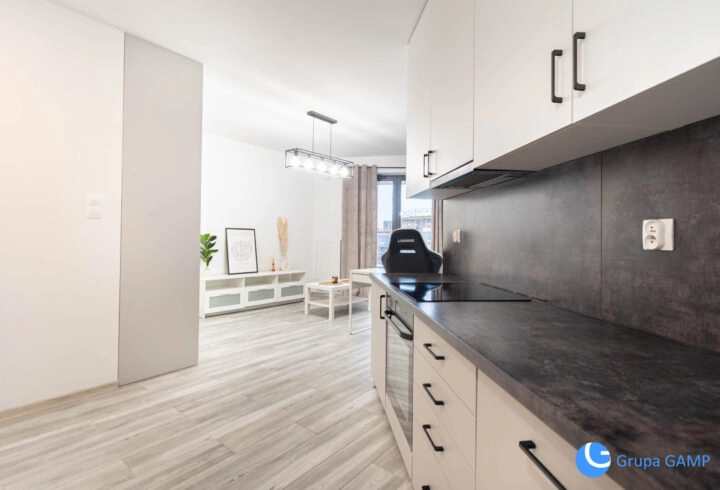 Nowoczesne studio* Wiślane Tarasy 2.0* 6 piętro