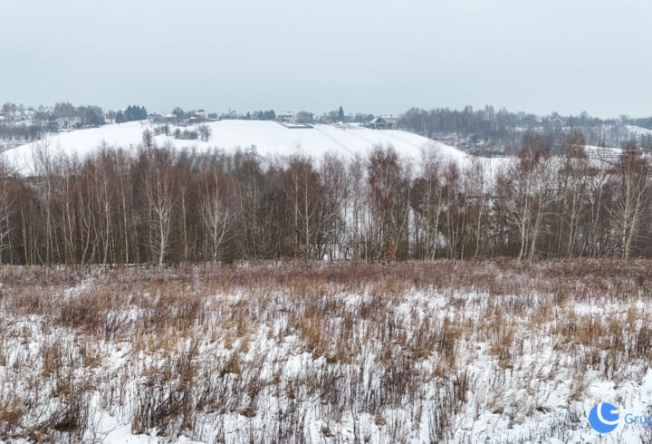 Z widokiem na las! 14ar - 12 minut od Krakowa