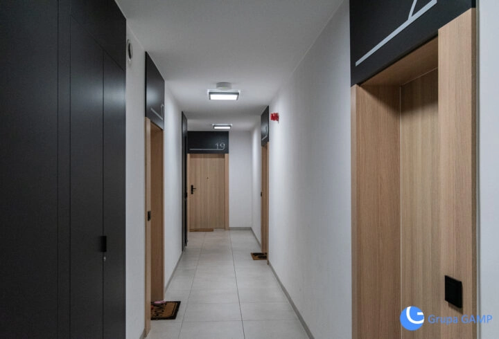 *49m2*od zaraz* pet friendly