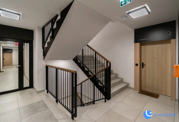 *49m2*od zaraz* pet friendly