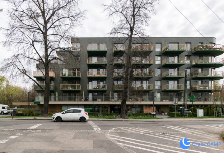 *49m2*od zaraz* pet friendly