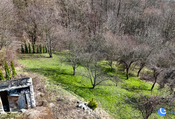 Piękny widok, strumień, sad, zabudowa |  Karwodrza
