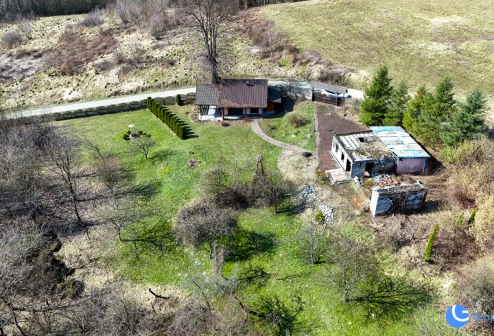 Piękny widok, strumień, sad, zabudowa |  Karwodrza