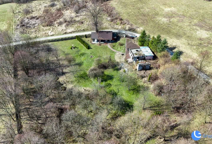 Piękny widok, strumień, sad, zabudowa |  Karwodrza