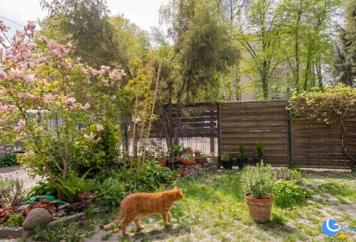 Lokal parterowy, gabinet, biuro - Lea, Krowodrza