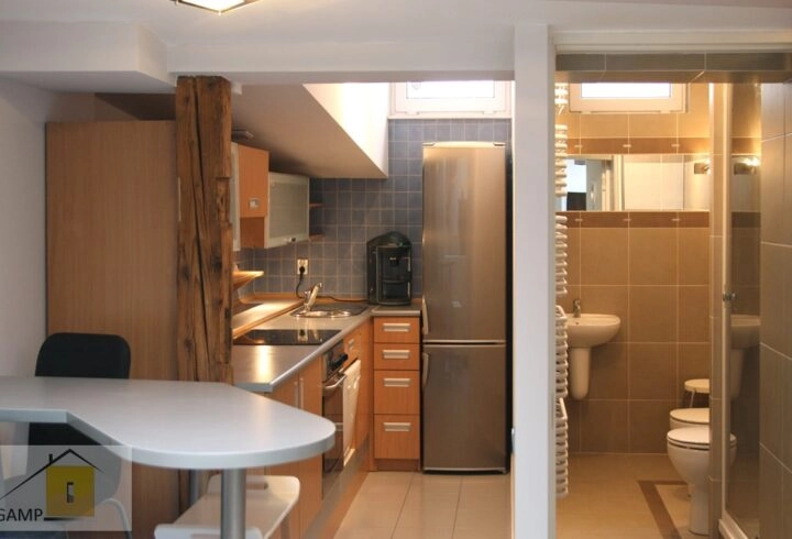 Studio 40 m2 w centrum, od 15.07, 2700 ALL