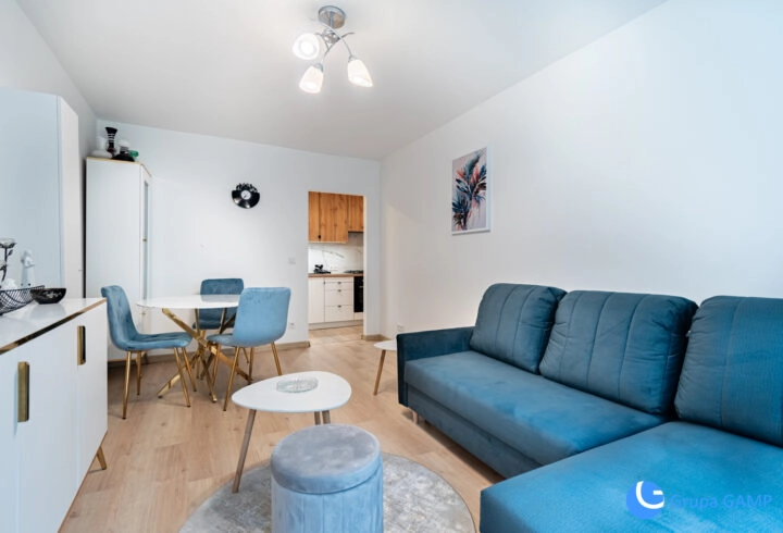 Nowoczesne Studio 28m2 *Bajeczna* - Tauron Arena