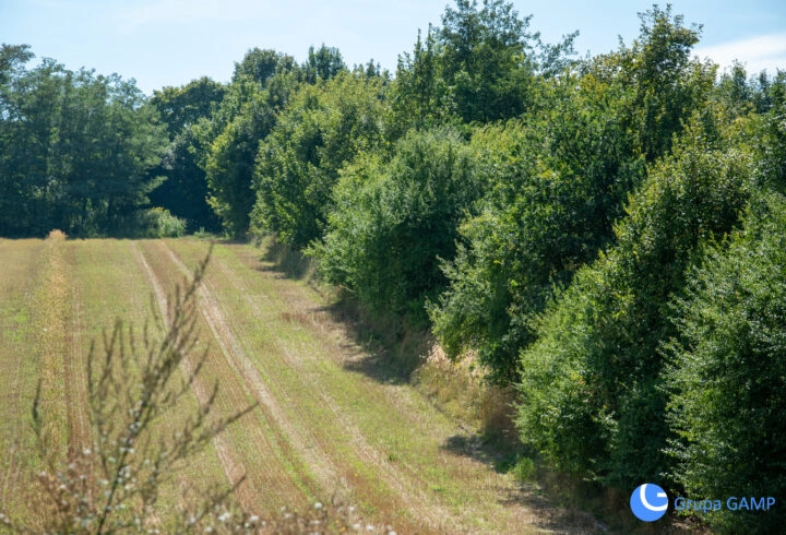 9ar zabudowa bliźniacza | Prądnik Biały, Witkowice