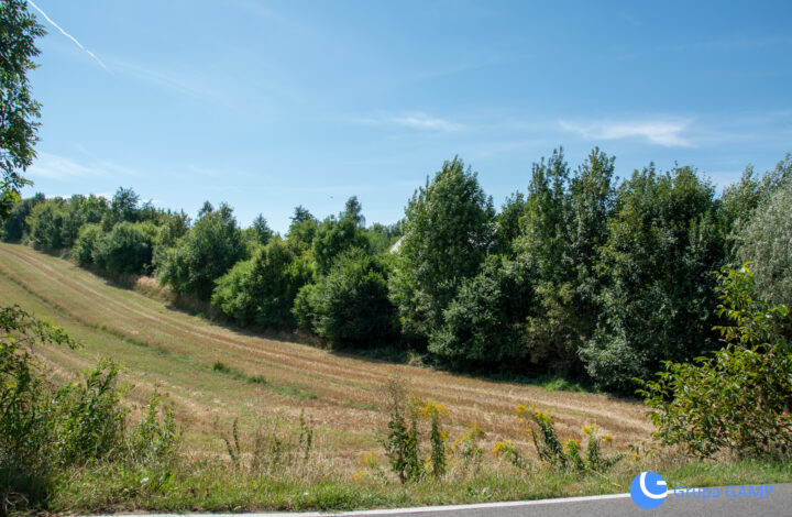 9ar zabudowa bliźniacza | Prądnik Biały, Witkowice