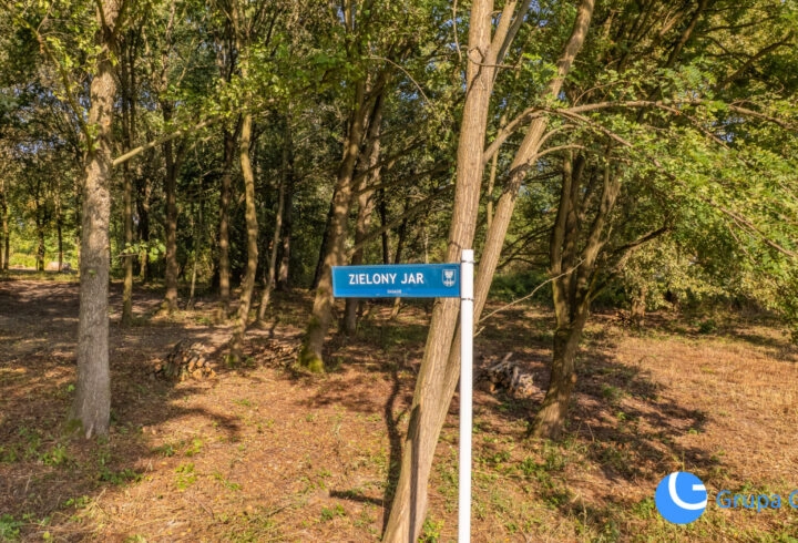 Budowalne 11ar wśród starodrzewu *Zagacie* Czernichów
