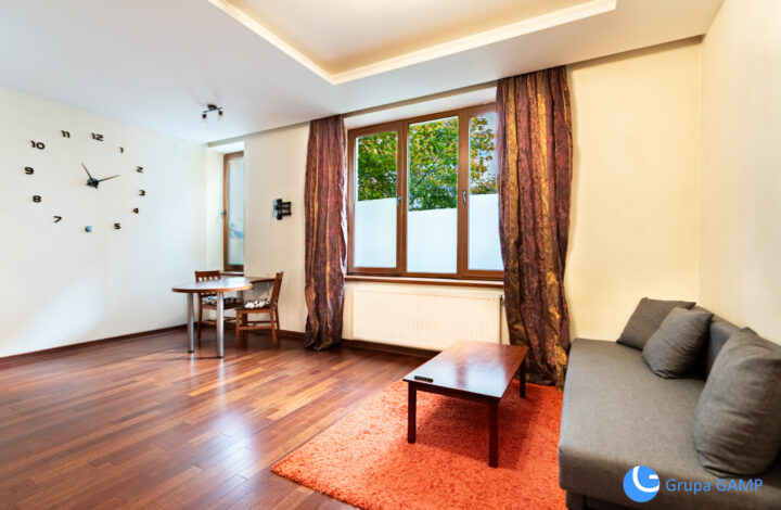 Studio *Friedleina* 30 m2 Krowodrza / Nowy Kleparz - klimatyzacja
